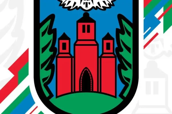 Twardogóra: turniej Giganci Siatkówki Kobiet. Dochód wesprze leczenie małego Leosia