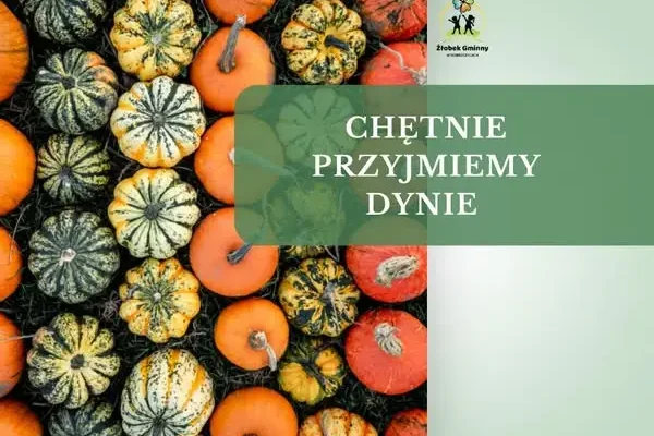 Żłobek prosi o dynie – jesienna zbiórka na dekoracje i zajęcia sensoryczne