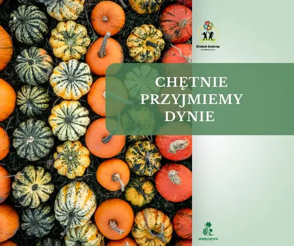 Żłobek prosi o dynie – jesienna zbiórka na dekoracje i zajęcia sensoryczne