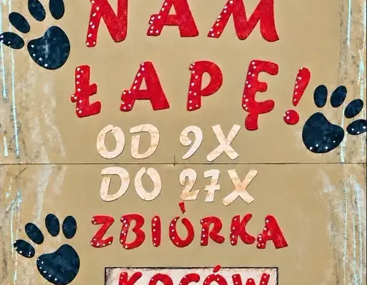 Szkolna zbiórka na rzecz zwierząt z fundacji „Przytul Pyska”