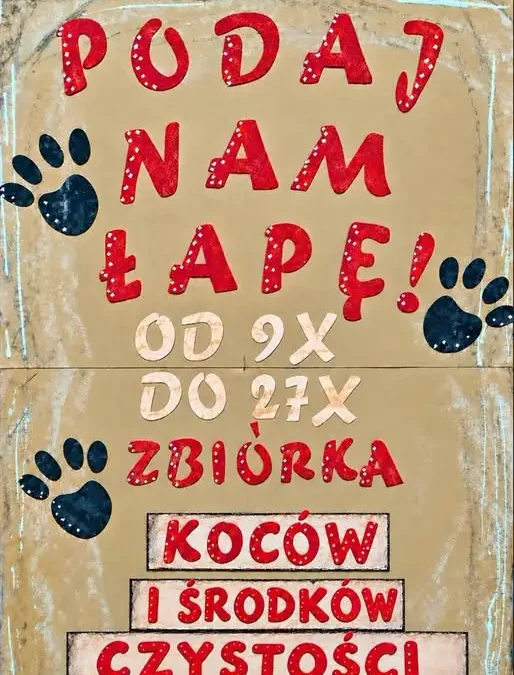 Szkolna zbiórka na rzecz zwierząt z fundacji „Przytul Pyska”