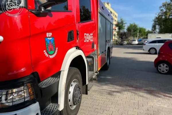 Kot utknął na drzewie – interwencja strażaków w Twardogórze