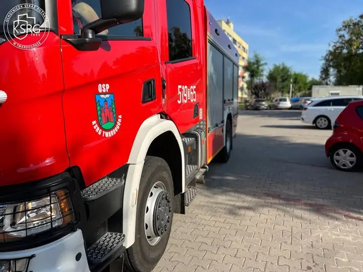 Kot utknął na drzewie – interwencja strażaków w Twardogórze